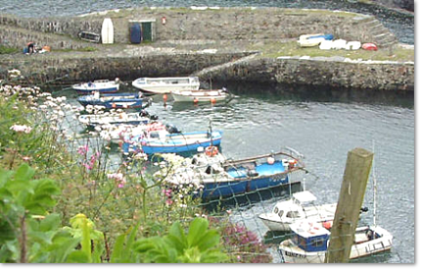 Boats Moored at Boscastle Harbour